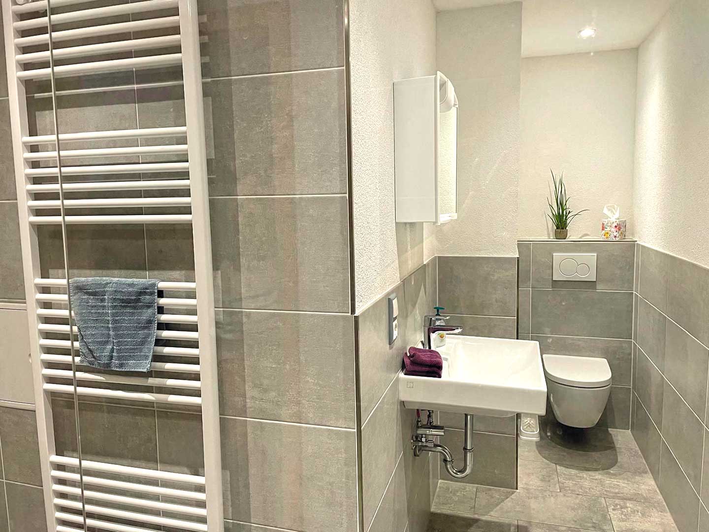 haus-könig-david-badezimmer